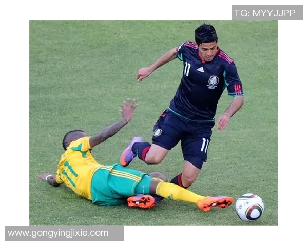 篮球明星与足球明星的共同点与差异探讨之旅