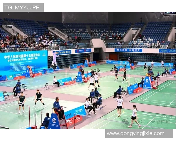 羽毛球的魅力与精神：深入了解北京羽毛球队的团队文化与竞技意识