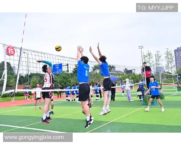 聚焦排球：成都排球队的耐力话题